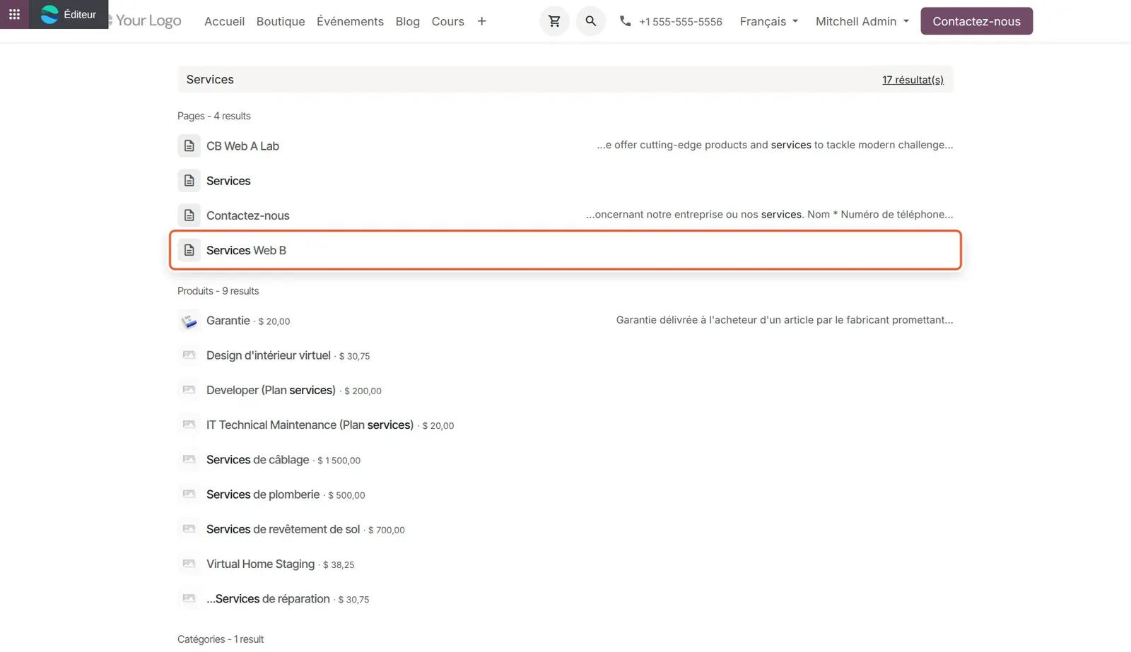 Odoo 20 Search results: The French-language search results, with the entry for the Services Web B page boxed among the Pages results.