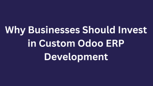 Custom Odoo ERP Development