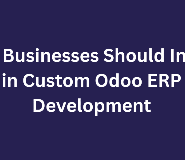 Custom Odoo ERP Development