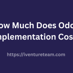 Odoo Implementation Cost
