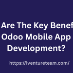 Odoo Mobile App Development
