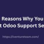Why You Need Expert Odoo Support Services